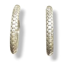 Earrings Mandile 1922 Woman Erosioni in Silver 2CEOC123017 - 2CEOC123017